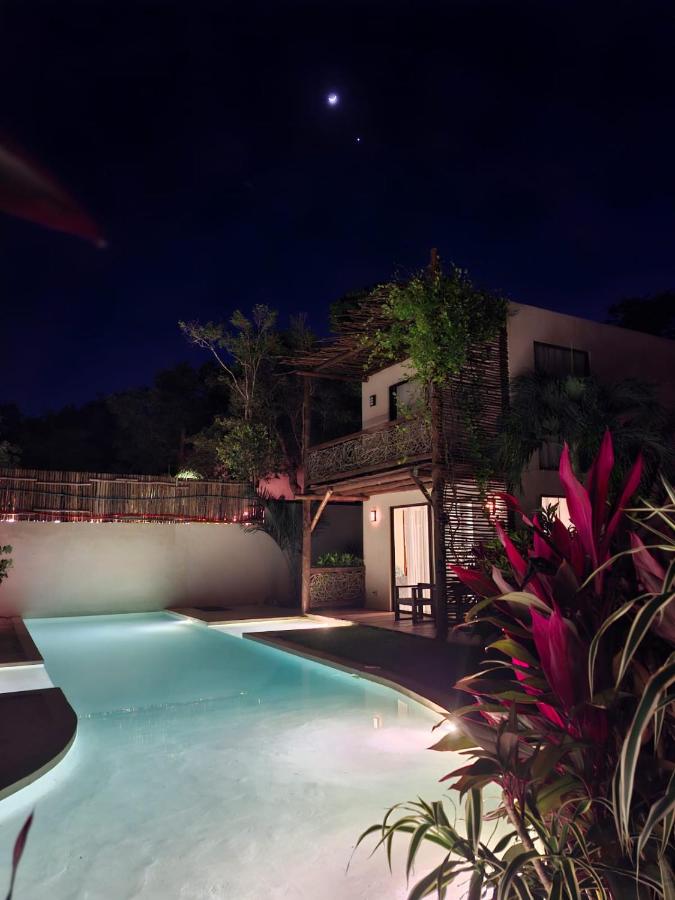 La alberca y los jardines de Villas Ahal iluminados de noche durante un evento