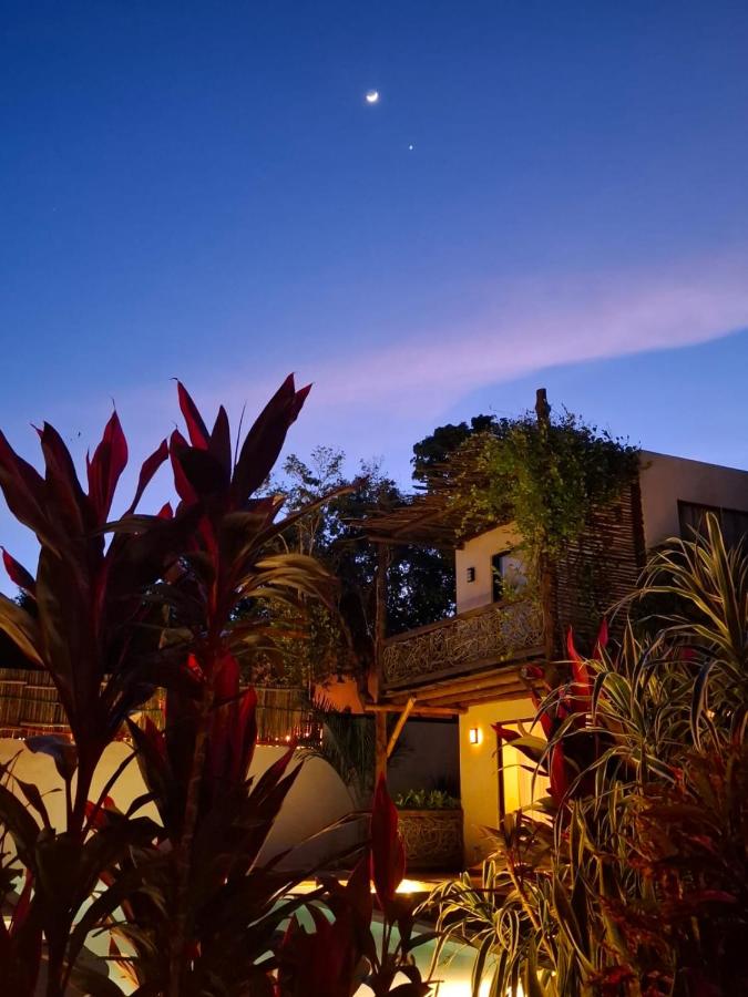 Atardecer sobre la selva desde Villas Ahal